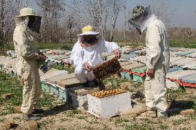 AFGHANISTAN-KUNDUZ-CHAHAR DARA-BEE FARM