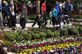 EGYPT-GIZA-FLORA EXPO