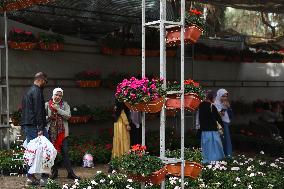 EGYPT-GIZA-FLORA EXPO