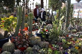 EGYPT-GIZA-FLORA EXPO