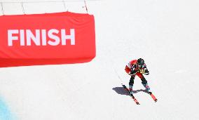 (SP)CHINA-BEIJING-WINTER PARALYMPICS-ALPINE SKIING-MEN'S DOWNHILL STANDING (CN)