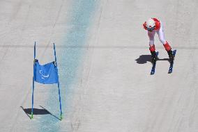 (SP)CHINA-BEIJING-WINTER PARALYMPICS-ALPINE SKIING-MEN'S DOWNHILL STANDING (CN)