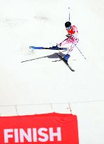 (SP)CHINA-BEIJING-WINTER PARALYMPICS-ALPINE SKIING-MEN'S DOWNHILL STANDING (CN)