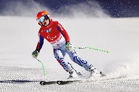 Beijing Paralympics: Alpine Skiing