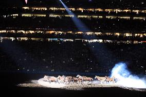 U.S.-TEXAS-HOUSTON-LIVESTOCK SHOW