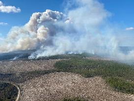 U.S.-FLORIDA-WILDFIRES