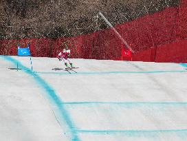 (SP)CHINA-BEIJING-BEIJING 2022 WINTER PARALYMPICS-PARA ALPINE SKIING-MEN'S SUPER-G-STANDING(CN)