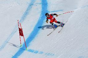 (SP)CHINA-BEIJING-BEIJING 2022 WINTER PARALYMPICS-PARA ALPINE SKIING-MEN'S SUPER-G-STANDING(CN)