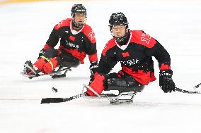 (SP)CHINA-BEIJING-WINTER PARALYMPICS-PARA ICE HOCKEY-GROUP B-CHN VS CZE(CN)