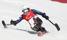 Beijing Paralympics: Alpine Skiing