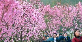 #CHINA-SPRING-SCENERY (CN)