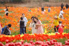 #CHINA-SPRING-SCENERY (CN)