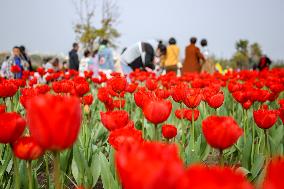 #CHINA-SPRING-SCENERY (CN)