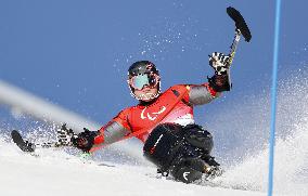 Beijing Paralympics: Alpine Skiing