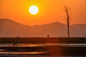 CHINA-GUIZHOU-WEINING-CAOHAI-MIGRANT BIRDS (CN)