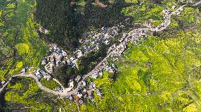 CHINA-GUIZHOU-AGRICULTURE (CN)