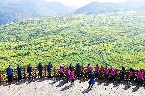 CHINA-GUIZHOU-AGRICULTURE (CN)