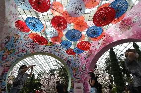 SINGAPORE-CHERRY BLOSSOM-DISPLAY