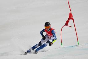 (SP)CHINA-BEIJING-WINTER PARALYMPICS-ALPINE SKIING-MEN'S GIANT SLALOM STANDING (CN)