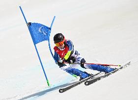 (SP)CHINA-BEIJING-WINTER PARALYMPICS-ALPINE SKIING-MEN'S GIANT SLALOM STANDING(CN)