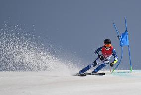 (SP)CHINA-BEIJING-WINTER PARALYMPICS-ALPINE SKIING-MEN'S GIANT SLALOM STANDING (CN)