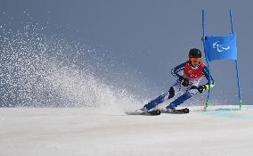 (SP)CHINA-BEIJING-WINTER PARALYMPICS-ALPINE SKIING-MEN'S GIANT SLALOM STANDING (CN)