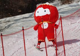 (SP)CHINA-BEIJING-WINTER PARALYMPICS-ALPINE SKIING-MEN'S GIANT SLALOM STANDING (CN)