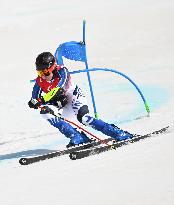 (SP)CHINA-BEIJING-WINTER PARALYMPICS-ALPINE SKIING-MEN'S GIANT SLALOM STANDING(CN)