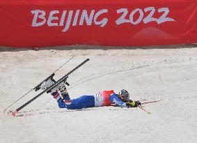 (SP)CHINA-BEIJING-WINTER PARALYMPICS-ALPINE SKIING-MEN'S GIANT SLALOM STANDING (CN)