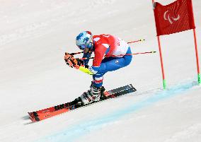 (SP)CHINA-BEIJING-WINTER PARALYMPICS-ALPINE SKIING-MEN'S GIANT SLALOM STANDING(CN)