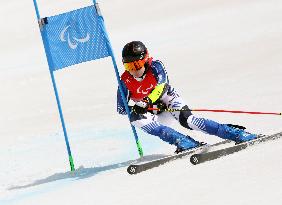 (SP)CHINA-BEIJING-WINTER PARALYMPICS-ALPINE SKIING-MEN'S GIANT SLALOM STANDING(CN)