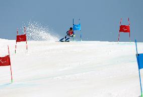 (SP)CHINA-BEIJING-WINTER PARALYMPICS-ALPINE SKIING-MEN'S GIANT SLALOM STANDING(CN)