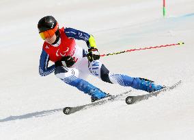 (SP)CHINA-BEIJING-WINTER PARALYMPICS-ALPINE SKIING-MEN'S GIANT SLALOM STANDING(CN)