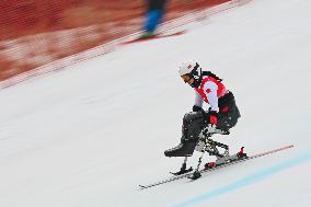 (SP)CHINA-BEIJING-WINTER PARALYMPICS-ALPINE SKIING-WOMEN'S GIANT SLALOM-SITTING (CN)