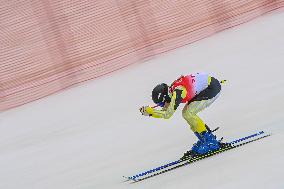 (SP)CHINA-BEIJING-WINTER PARALYMPICS-ALPINE SKIING-WOMEN'S GIANT SLALOM-STANDING (CN)