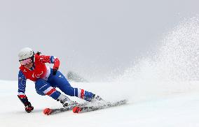 (SP)CHINA-BEIJING-WINTER PARALYMPICS-ALPINE SKIING-WOMEN'S GIANT SLALOM-STANDING (CN)