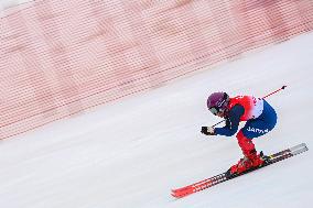 (SP)CHINA-BEIJING-WINTER PARALYMPICS-ALPINE SKIING-WOMEN'S GIANT SLALOM-STANDING (CN)