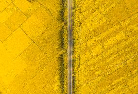 Xinhua Headlines: From food security to carbon goals, "two sessions" demonstrate China's steady steps toward modernization