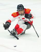 (SP)CHINA-BEIJING-WINTER PARALYMPICS-PARA ICE HOCKEY-SEMIFINALS-CHN VS USA(CN)