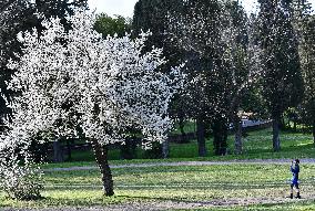 ITALY-ROME-SPRING