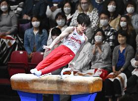 Gymnastics: Uchimura's retirement event