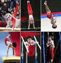 Gymnastics: Uchimura's retirement event