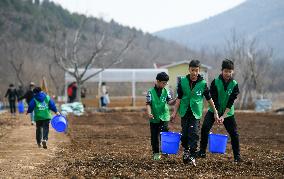 CHINA-TIANJIN-WASTED QUARRY-TREE-PLANTING EVENT (CN)