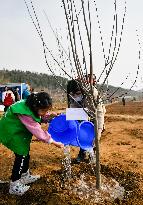 CHINA-TIANJIN-WASTED QUARRY-TREE-PLANTING EVENT (CN)
