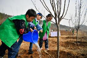 CHINA-TIANJIN-WASTED QUARRY-TREE-PLANTING EVENT (CN)