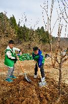 CHINA-TIANJIN-WASTED QUARRY-TREE-PLANTING EVENT (CN)