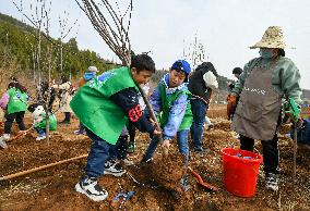CHINA-TIANJIN-WASTED QUARRY-TREE-PLANTING EVENT (CN)