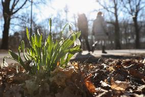 GERMANY-BERLIN-EARLY SPRING