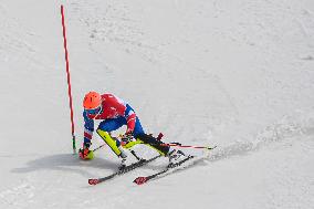 (SP)CHINA-BEIJING-BEIJING 2022 WINTER PARALYMPICS-PARA ALPINE SKIING-MEN'S SLALOM-STANDING (CN)