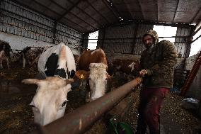 TURKEY-ISTANBUL-INFLATION-CATTLE RAISERS